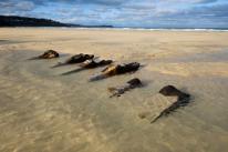Many locals cannot remember ever seeing the wrecks at Porth Kidney Sands near St Ives (Picture: Cornwall Live/BPM Media)